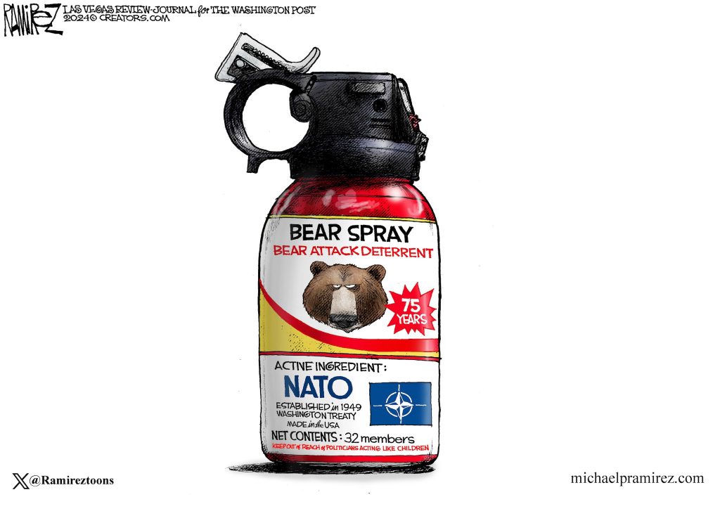 nato-bear-spray