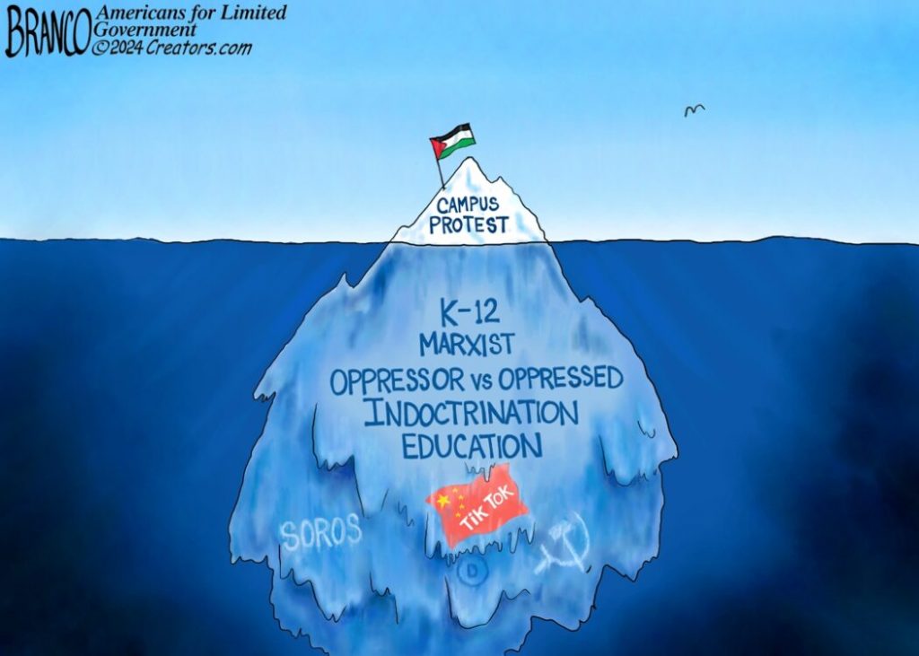 campus-protest-iceberg-tip