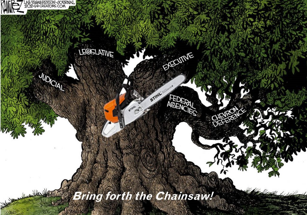 chainsaw-tree